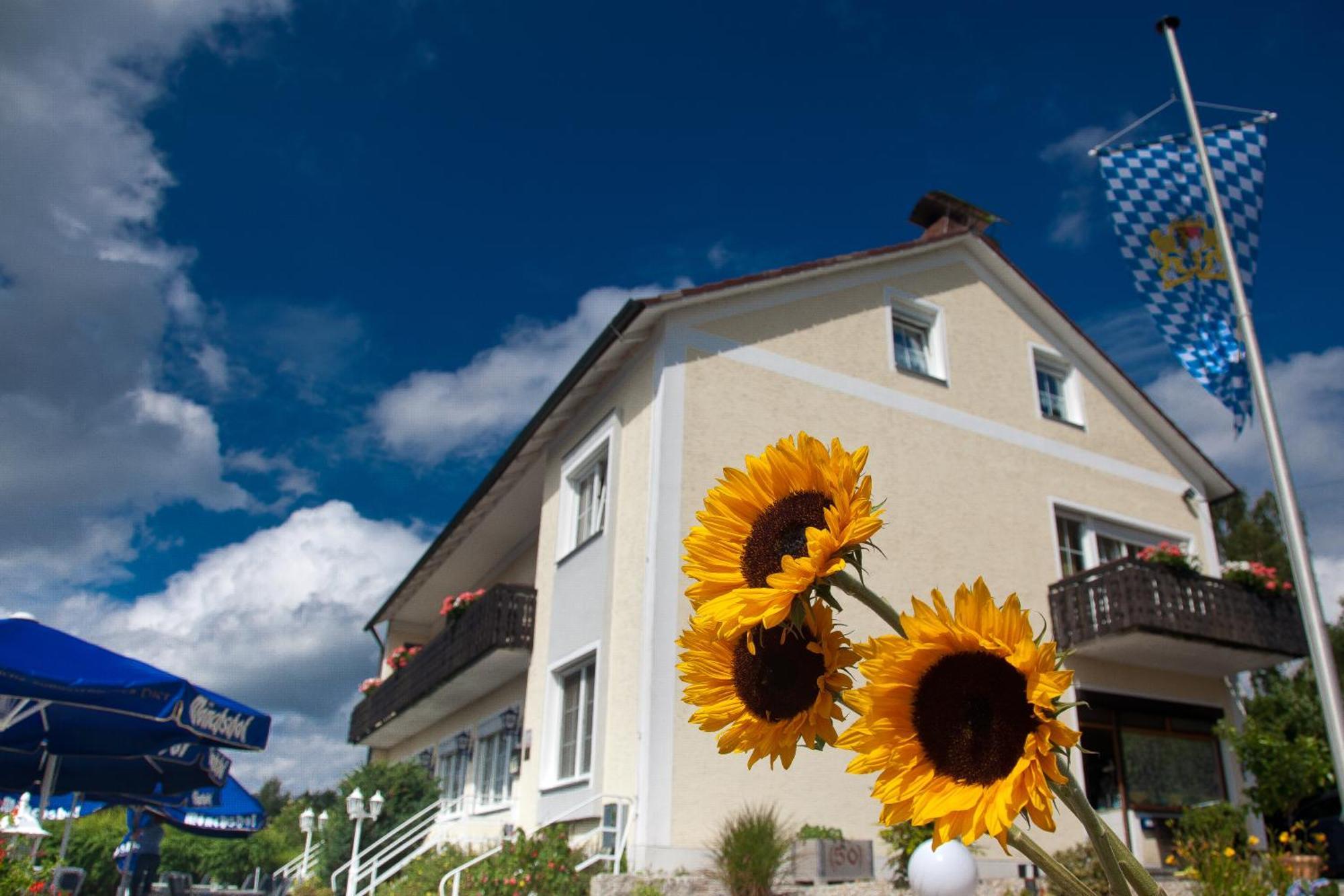 Landgasthof Am Sonnenhang Vohenstrauss Eksteriør bilde